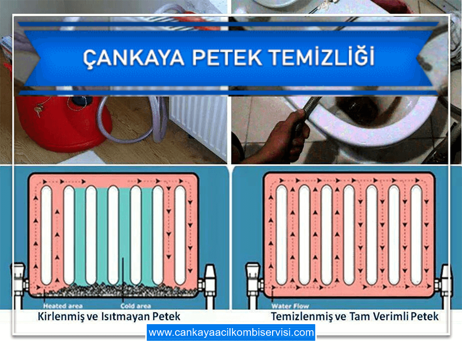 Çankaya Petek Temizleme